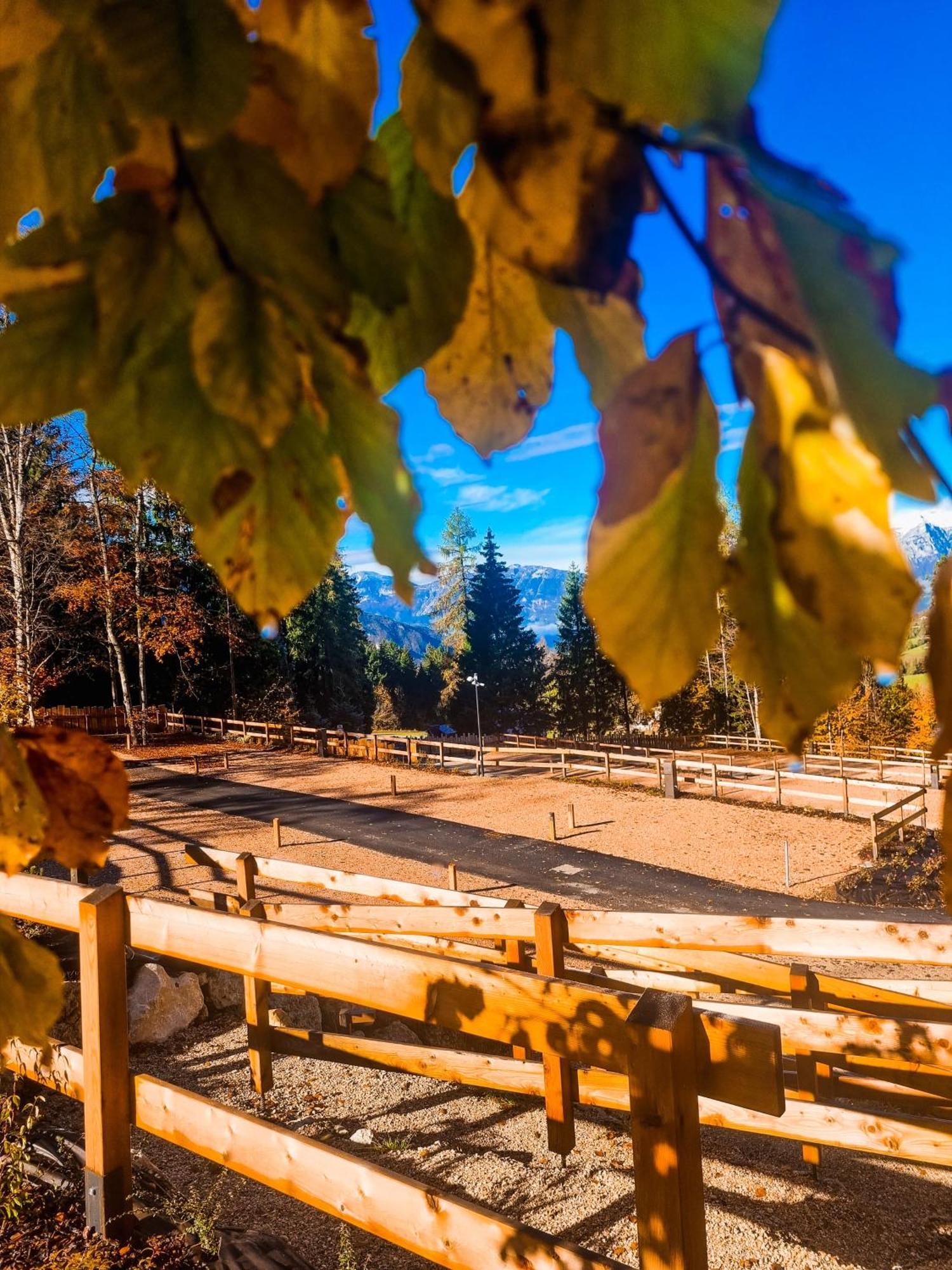 Camping Essenza Alpina Folgaria Exterior foto